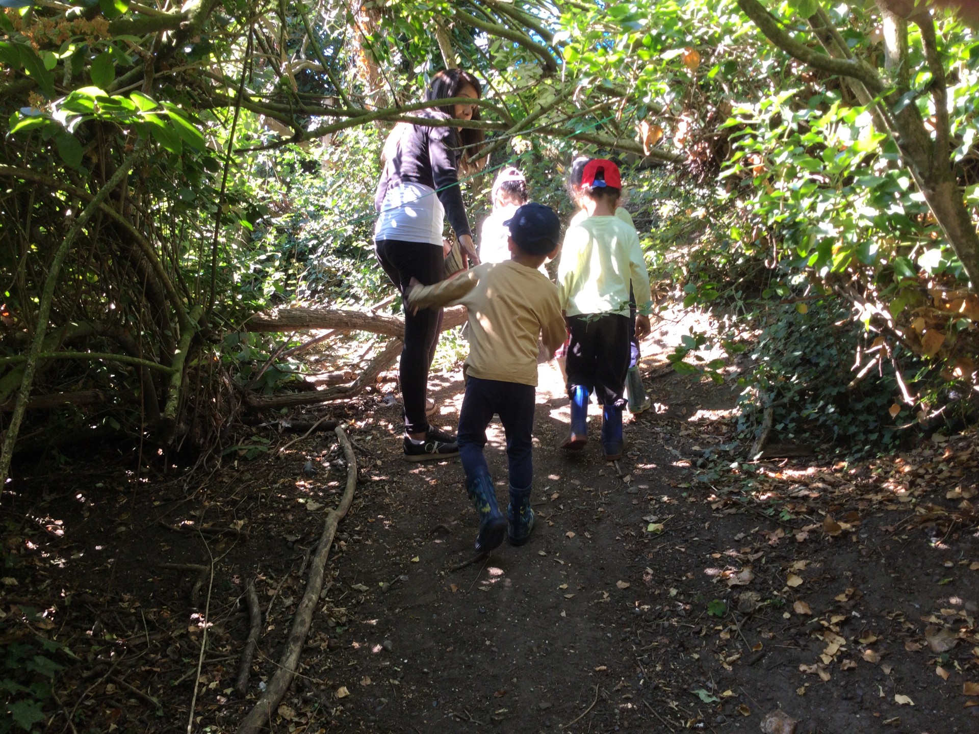 Year 4 at Forest School